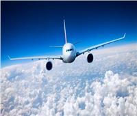 الطيران المدنى يعلن توقف الرحلات إلى الهند | فيديو