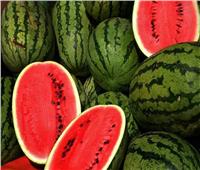 «نقيب الفلاحين» يُحذر من تناول البطيخ الفاسد بعد إصابة أسرة بالتسمم