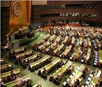 المجموعة العربية بالأمم المتحدة: لا حل للقضية الفلسطينية إلا بإنهاء الاحتلال