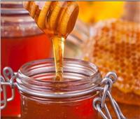 البحوث الزراعية: 2800 طن حجم صادرات مصر من العسل في 2020 .. فيديو