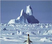 انفصال أكبر جبل جليدي في العالم عن القارة القطبية الجنوبية 