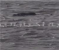 العثور على جثة طافية على النيل بركن فاروق بحلوان |فيديو