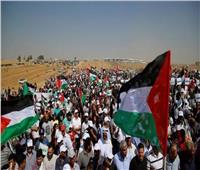 أحمد الطاهرى: أصداء عالمية على خطوات مصر لحل الأزمة في فلسطين