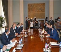 «شكري» ووزير خارجية قبرص يبحثان التعاون الثنائي والقضايا الإقليمية