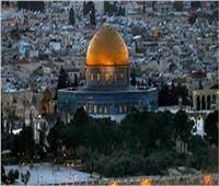 الأزهر في فيديو جديد عن القدس: هاهنا عاش الشعب الفلسطيني العربي وهاهنا سيعيش