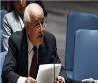 سفير فلسطين بالأمم المتحدة: إسرائيل فشلت في هزيمة الوعي الوطني الفلسطيني