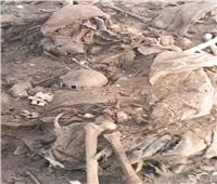 حبس «مقاول الجماجم» بالقليوبية 4 أيام بعد العثور على رفات 96 جثة 