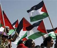 محلل فلسطيني: الدور المصري في فلسطين مستمر ودائم الحركة 