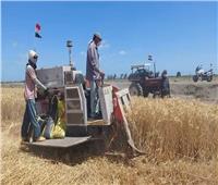 ارتفاع كمية القمح بصوامع بورسعيد بزيادة ‎%‎174 عن العام الماضى  