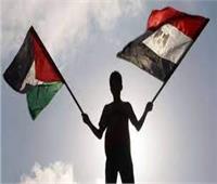 محلل فلسطيني: قرار السيسي بإشراف مصر على إعمار غزة رسالة لدولة الاحتلال| فيديو