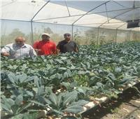الإرشاد الزراعي ينظم ندوات ولقاءات توعية لمزارعى المنيا والإسكندرية