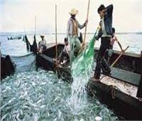 الثروة السمكية: مصر تنتج أكثر من 2 مليون طن أسماك.. وتصدر 35 ألف طن