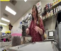 فتاة أمريكية تستخدم حشرة «السيكادا» في تصنيع الشيكولاته| فيديو