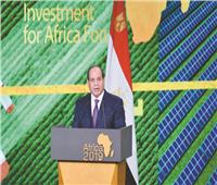 العودة إلى أفريقيا.. 4 دورات لـ«منتدى أفريقيا» استضافتها القاهرة