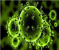مركز روسي يحذر من نصائح بعض الأطباء حول فيروس كورونا
