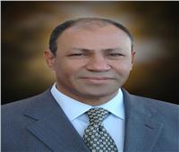  أحمد شاهين رئيسا لمجلس إدارة شركة مصرللطيران للشحن الجوي    