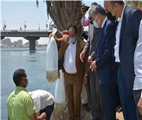 محافظ المنيا يشهد إلقاء مليون «زريعة سمك» بنهر النيل
