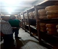 ضبط 4.550 طن «جبن تركي» غير صالح للاستهلاك الأدمي بأبو حمص