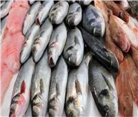 أسعار الأسماك بسوق العبور اليوم ١٧ يونيو  ٢٠٢١ 