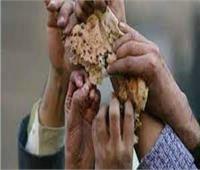 الأمم المتحدة تحذر من استمرار ارتفاع معدلات الجوع بالمنطقة العربية 