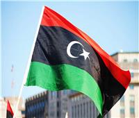 خبير: تركيا تحاول التشويش على أي دور عربي في الملف الليبي