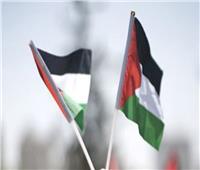 لمدة «أسبوع».. رفع العلم الفلسطيني على بلديتين أمريكيتين