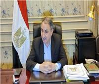 مجدي ملك: الرئيس السيسي أعاد مصر لدورها الرائد دولياً وعربياً وأفريقياً