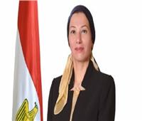 وزيرة البيئة تستعرض جهود مصر في مواجهة آثار تغير المناخ 