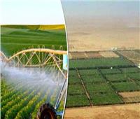 ثورة في المنتجات الزراعية المصرية.. وتصدير المحاصيل إلى جميع قارات العالم