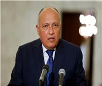 وزير الخارجية: العلاقات المصرية القطرية تسير بوتيرة طيبة |فيديو