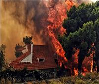 رئيس قبرص يصف حرائق الغابات المشتعلة في بلاده بـ«المأساة»