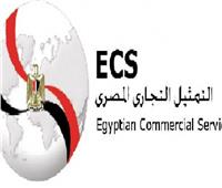 لقاءات بين ممثلي الشركات المصرية والسنغالية في القطاعات الصناعية 