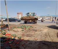 رفع 130 طن قمامة في حملة نظافة بالمحلة الكبرى