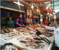 تزايد الإقبال على سوق الأسماك الجديد في بورسعيد