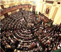 رئيس «تضامن النواب»: «حياة كريمة» المشروع الأكبر والأعظم في تاريخ مصر