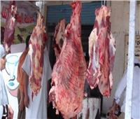 حماية المستهلك يكشف مظاهر الغش والفساد في اللحوم الطازجة والمجمدة