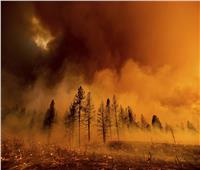 الأكبر منذ 100 عام.. حريق ولاية أوريجون الأمريكية يهدد 5 آلاف منزل