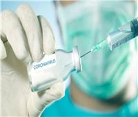 179 مركزا للتطعيمات  جاهزين لإصدار شهادات لقاح كورونا للمسافرين للخارج 