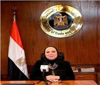 وزيرة الصناعة: ٣٦.٥ مليار دولار واردات مصر خلال ٦ شهور