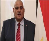 رئيس الجالية المصرية بروسيا: توقيع موسكو اتفاقية دفاع مشترك مع أثيوبيا «غير صحيح»