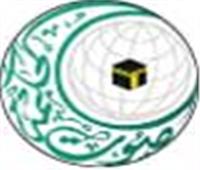 «صوت الحكمة»: الإساءة للمقدسات الإسلامية استفزاز غير مبرر