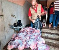 محافظ أسوان: مبادرة «الناس لبعضهم» توزع 4500 شنطة مواد غذائية 