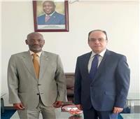 سفير مصر ببوجمبورا يلتقي وزير الكهرباء البوروندي لتعزيز العلاقات