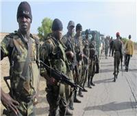 مقتل ‭6‬ جنود على الأقل خلال هجوم شنه مسلحون شمال الكاميرون