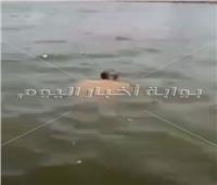 بالفيديو والصور | العثور على جثه شاب بكورنيش النيل بـ«المعصرة»