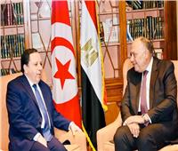 وزير الخارجية التونسي لـ«شكري»: قرارات الرئيس قيس سعيد فرضتها التحديات السياسية