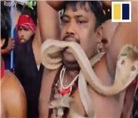 «بالرقص ودق الطبول».. الهنود يحتفلون بمهرجان الأفاعي | فيديو 