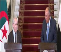 وزير الخارجية: الرئيس السيسى تلقى رسالة مودة وإخاء من نظيره الجزائرى
