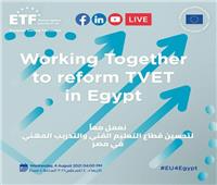 برعاية الاتحاد الأوروبى.. ندوة افتراضية لتحسين قطاع التعليم الفني والتدريب المهني في مصر‎‎