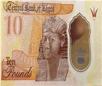موسى عن أزمة العملات البلاستيكية: فوائدها كثيرة ومش اختراع مصري | فيديو